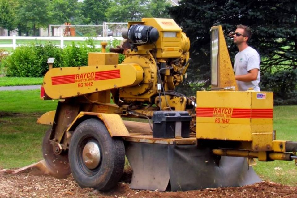 Stump Removal Wilkes-Barre, PA